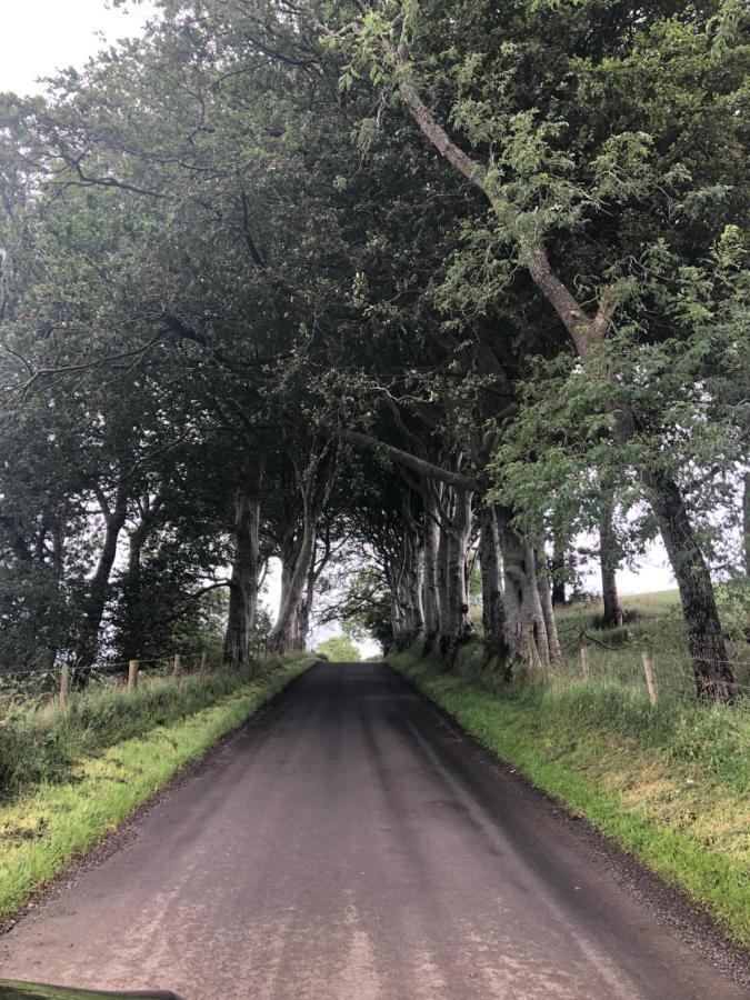 Den @ The Dark Hedges Stranocum Exterior photo